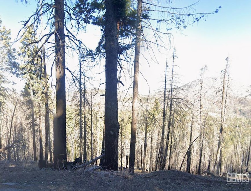 0 Holly Dr, Wofford Heights, CA 93285 - photo 1