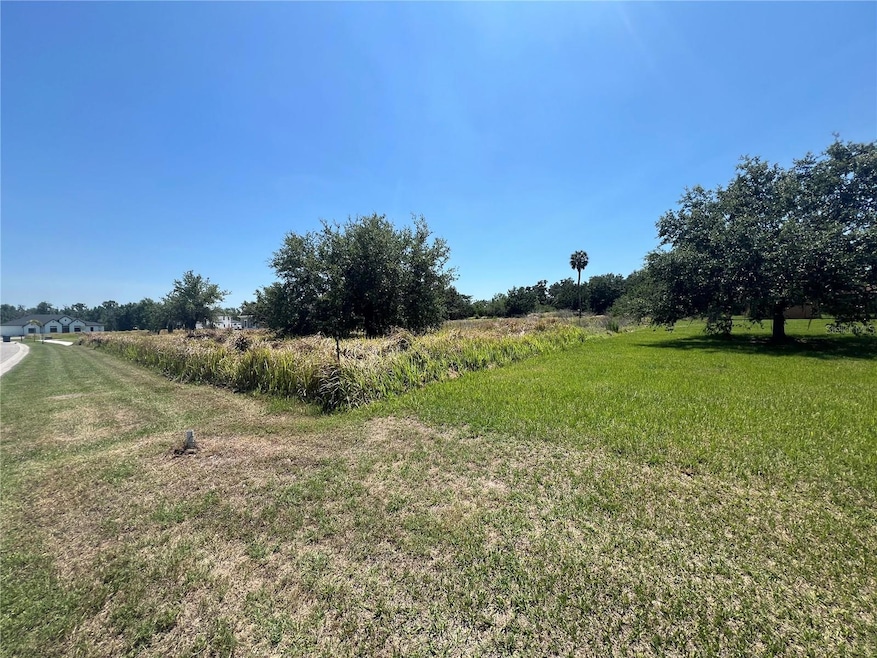 Front right corner of property from FishHawk Heights Run