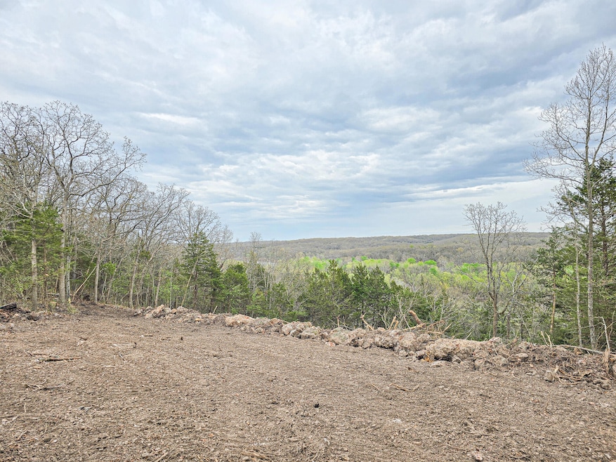 Tract 2 Easy St, Green Township, MO - photo 1