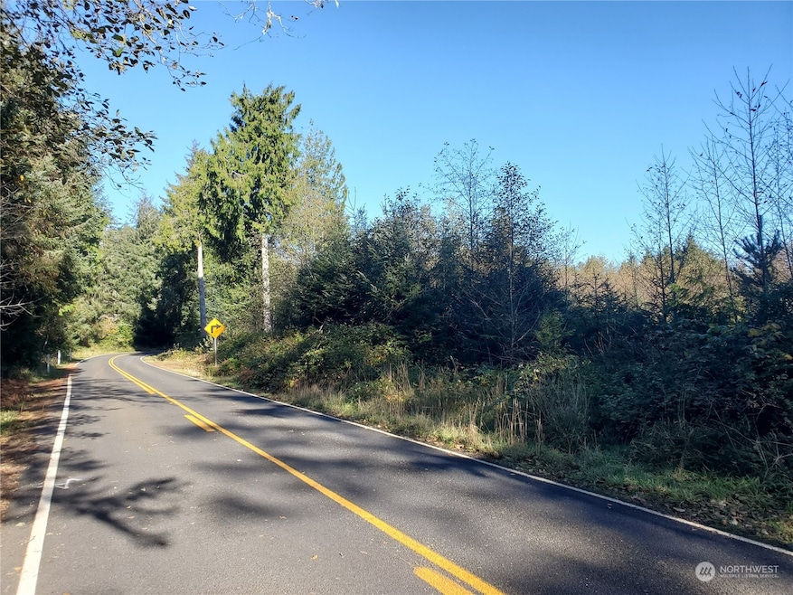 36602 Stackpole Rd, Oysterville, WA 98641 - photo 1