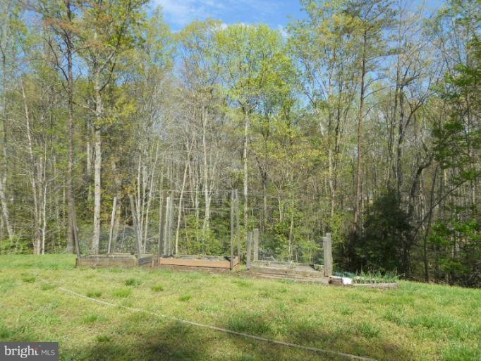 433 Potomac Run Rd, Fredericksburg, VA 22405 - photo 1