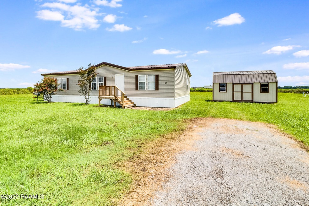 193 Mulberry Ln, Iota, LA 70543 - photo 1