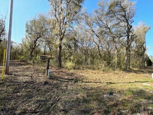 232 SW Stell Glen, Lake City, FL 32024 - photo 1