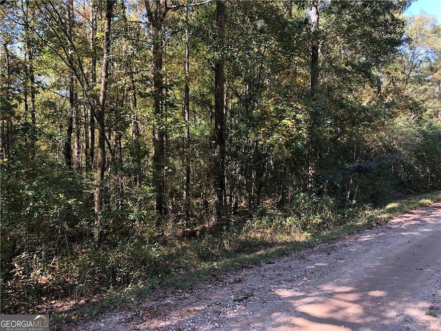 0 Coady Rd unit 10519792, Jackson, GA 30233 - photo 1