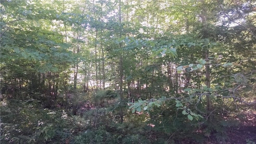 View of land