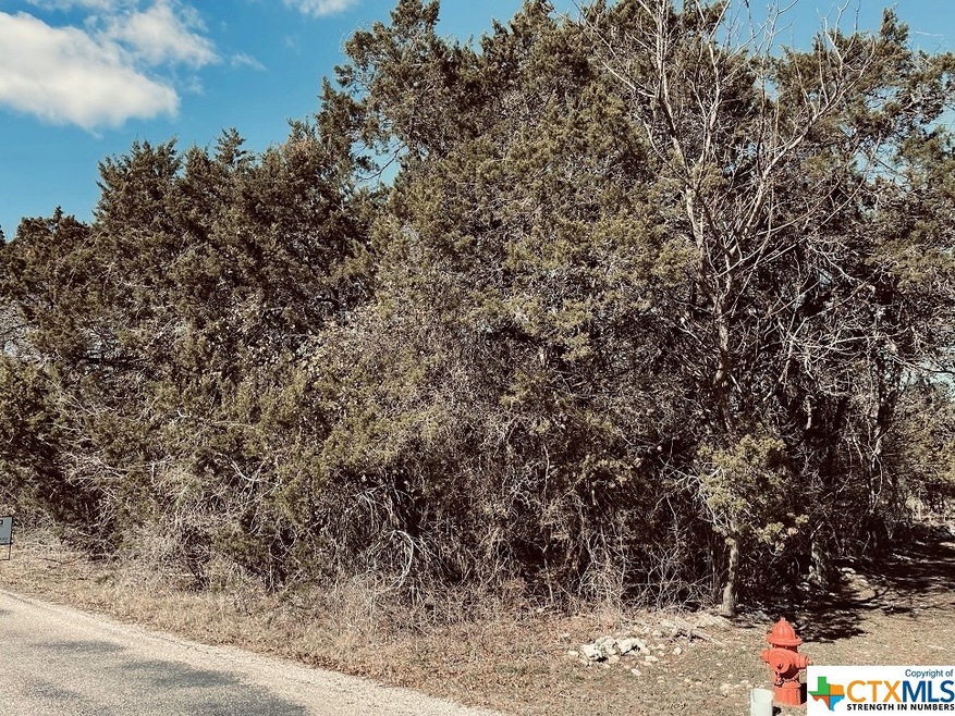 13184 Harbor Dr, Temple, TX 76502 - photo 1