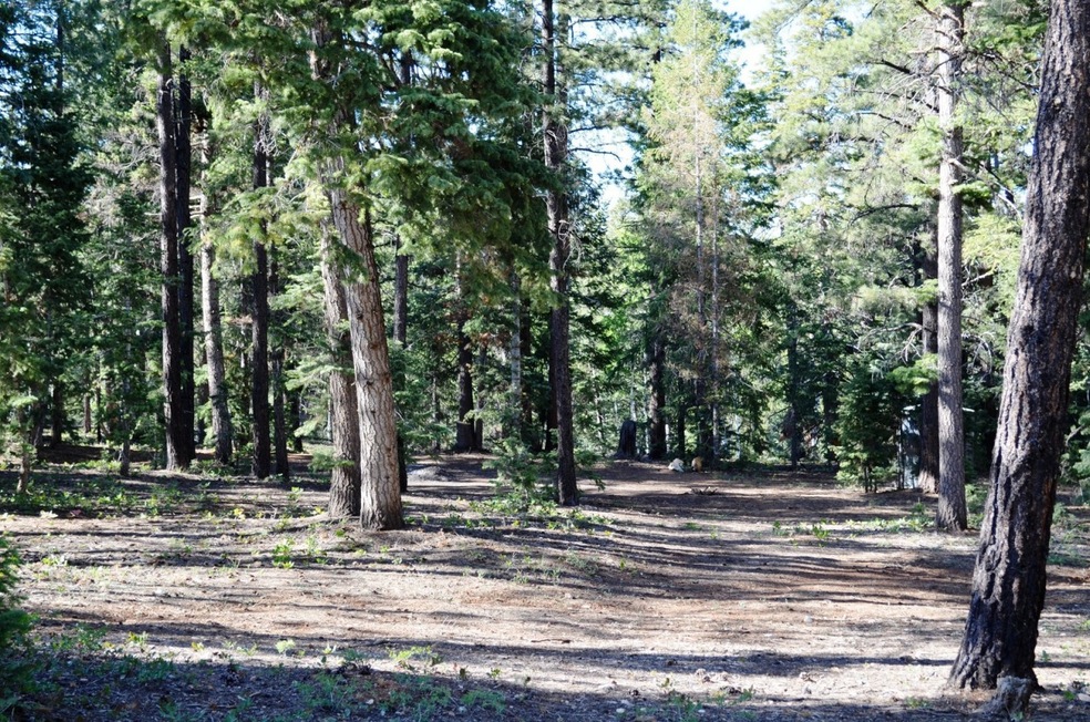 Lovely Treed lot!!!