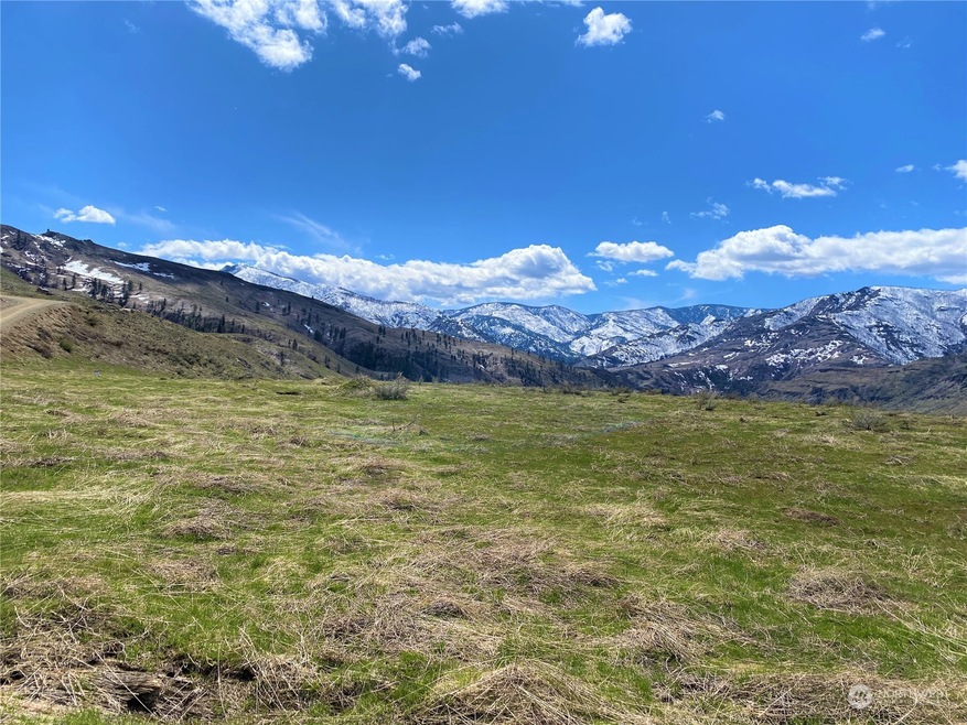 0 Lot 4 Steelhead Short Plat, Methow, WA 98834 - photo 1