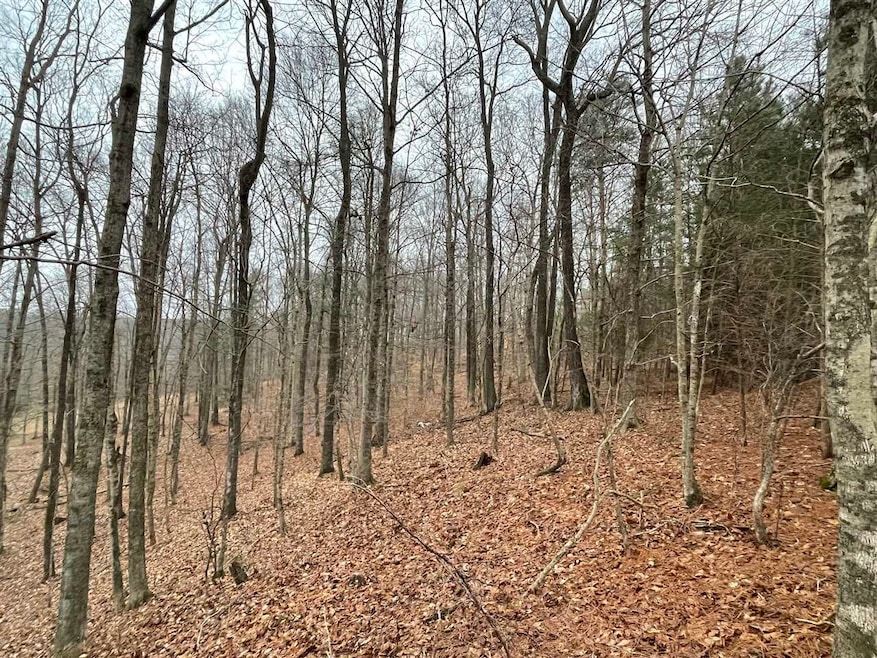 For Sale $21,900 • Co-Listing Agent