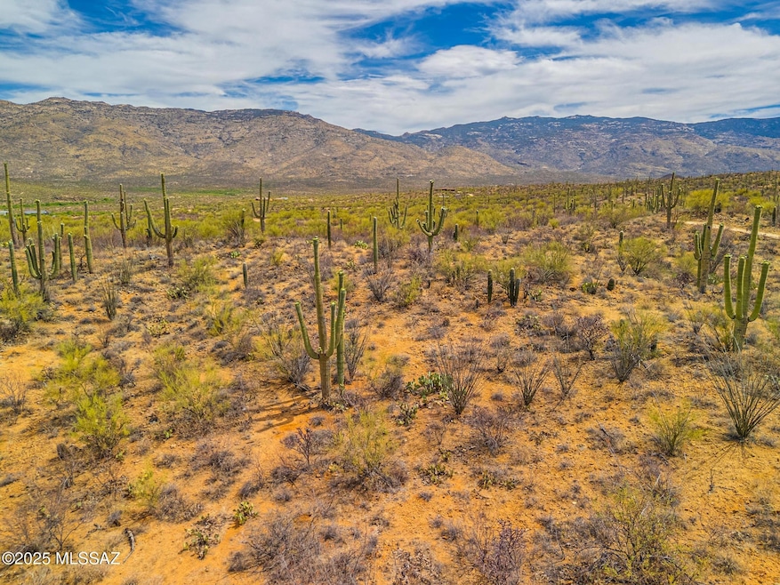 DJI_20250524100711_0752_D123