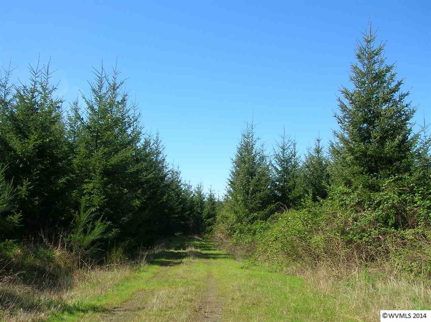 18390 Highway 22, Sheridan, OR 97378 - photo 1