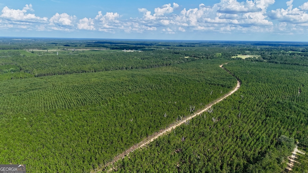 0 Penny Morris Rd, Baxley, GA 31513 - photo 1