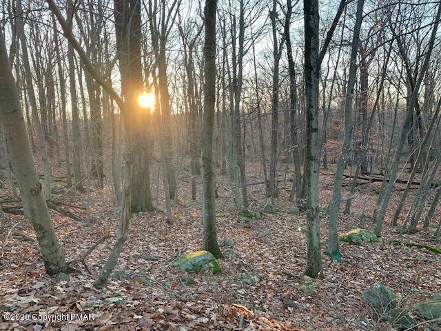 118 Bass Ct, Barrett Township, PA 18325 - photo 1