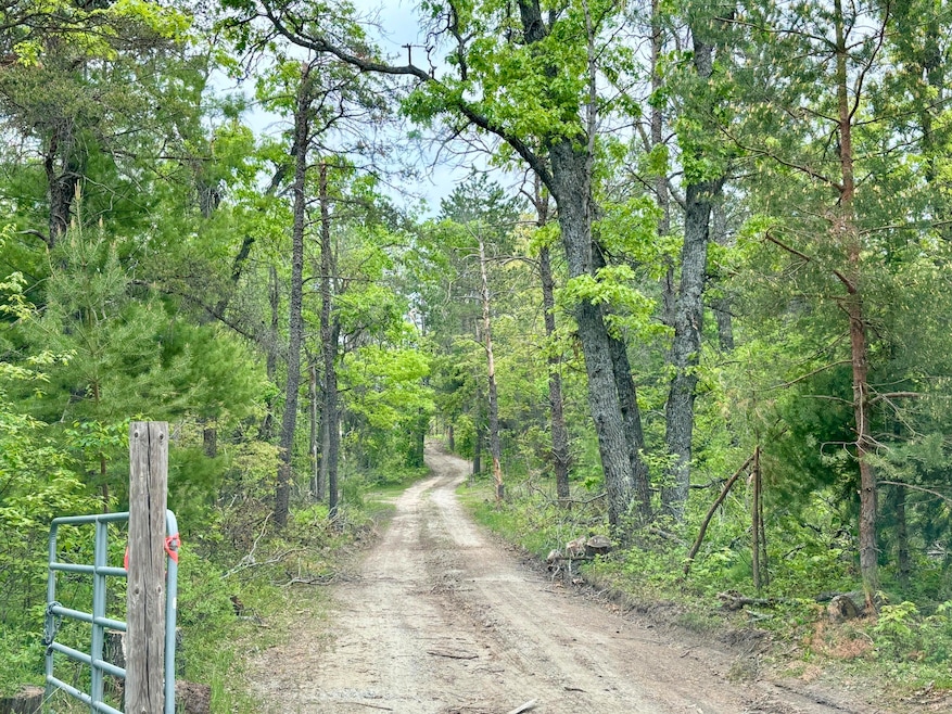 Parcel #E Town Line Rd, Lewiston, MI 49756 - photo 1