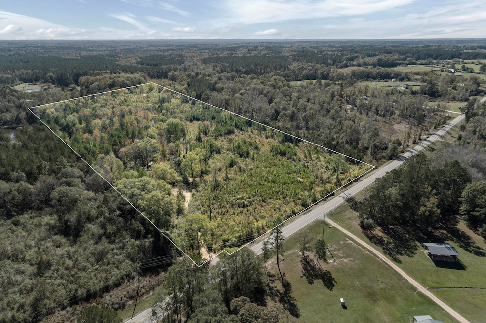 111 Ms-44, Sumrall, MS 39482 - photo 1