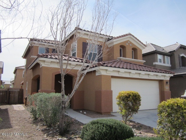 Front View