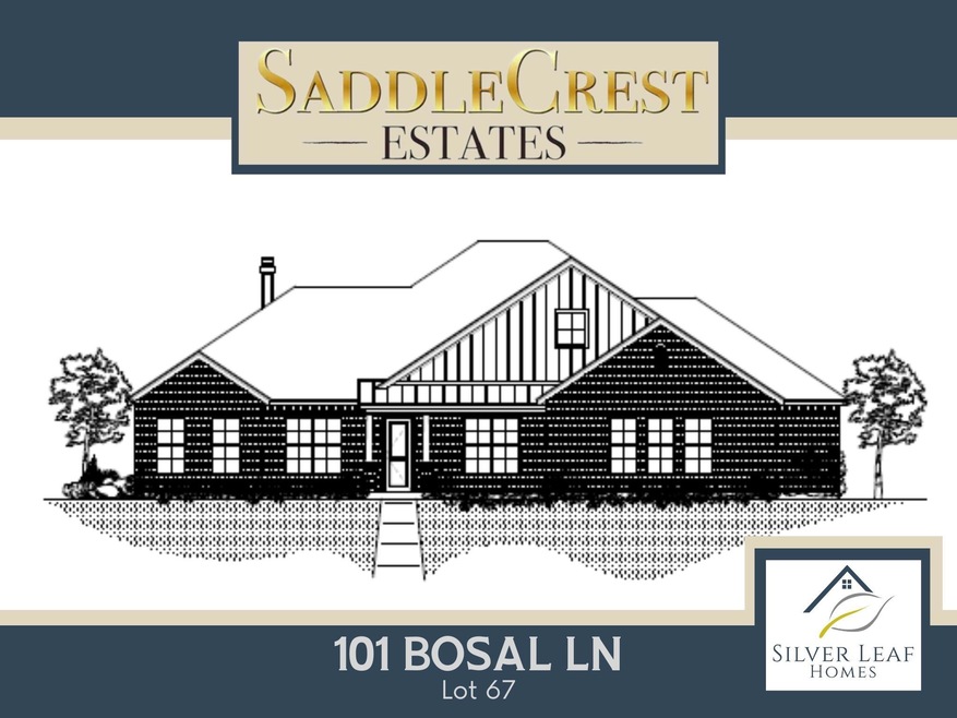 101 Bosal Ln, Weatherford, TX 76088 - photo 1