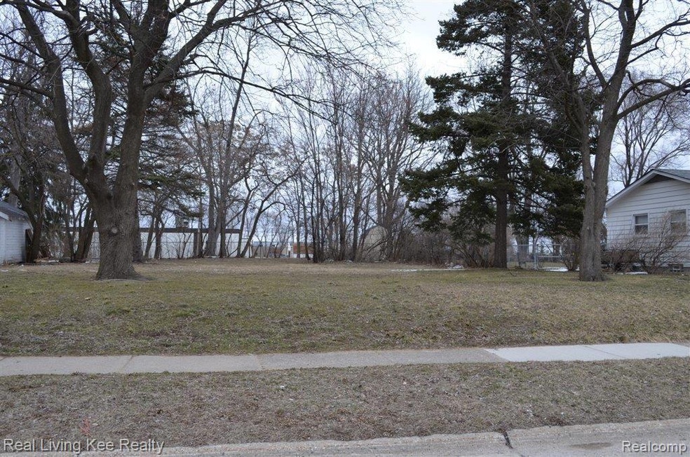 vacant land hendrickson 1.jpg