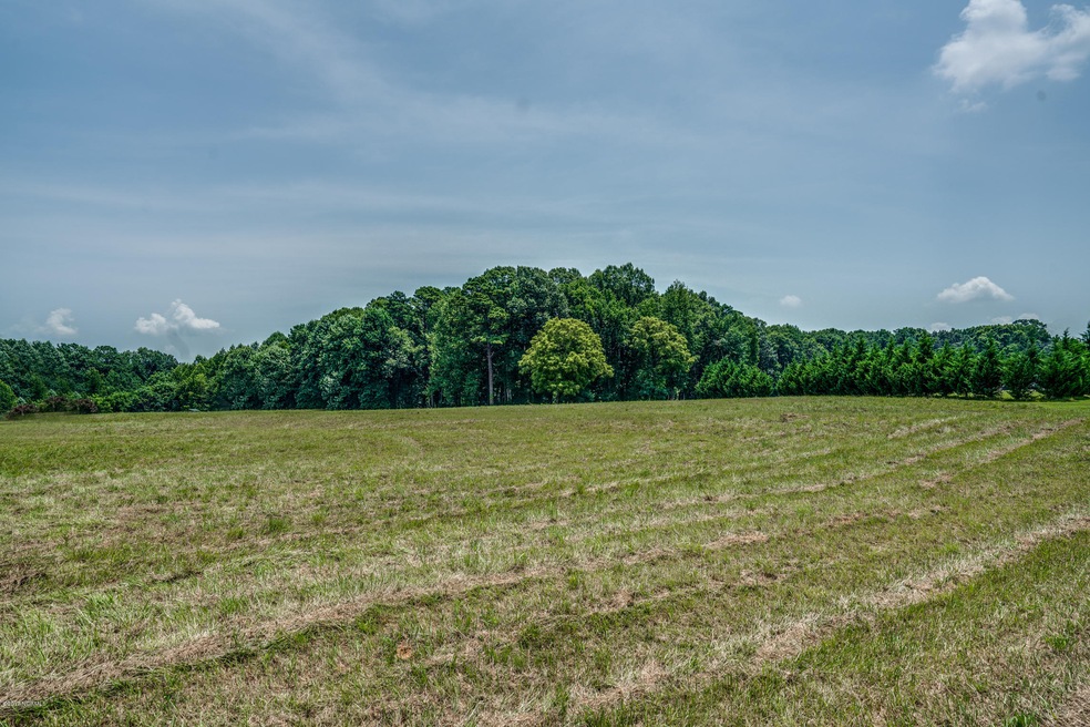 0 Lakeview Rd, Toisnot, NC 27822 - photo 1