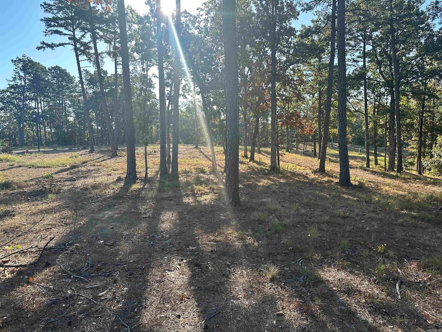 2915 Orchard View Dr, Conway, AR 72034 - photo 1