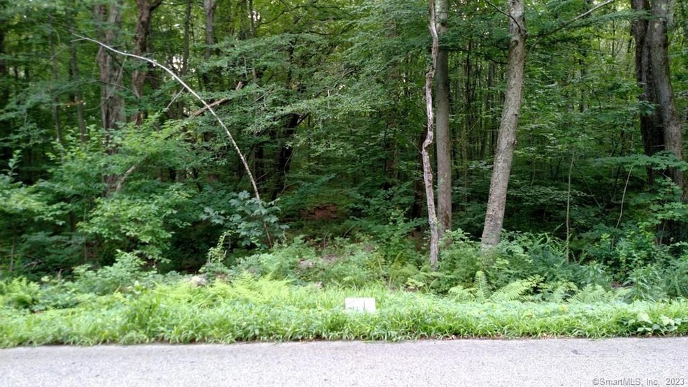 0 Wells Wood Rd unit 170356415, Columbia, CT 06237 - photo 1