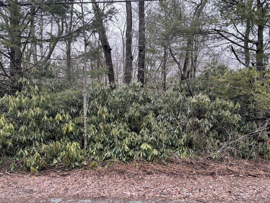 0 Long View Ln 45 Ln, Pocono Pines, PA 18350 - photo 1