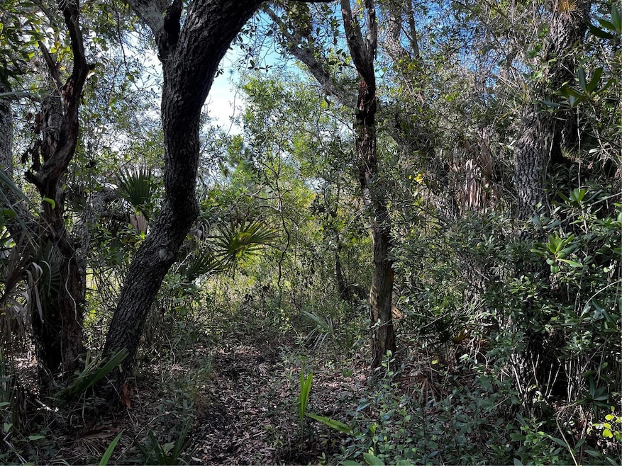 50204 Bermont Rd, Punta Gorda, FL 33982 - photo 1