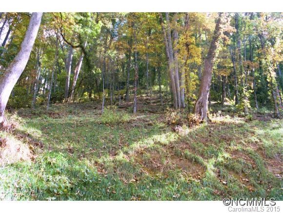 901 Johnston School Rd, Asheville, NC 28806 - photo 1