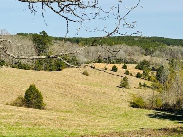 5 Cr 4076, Oxford, MS 38655 - photo 1