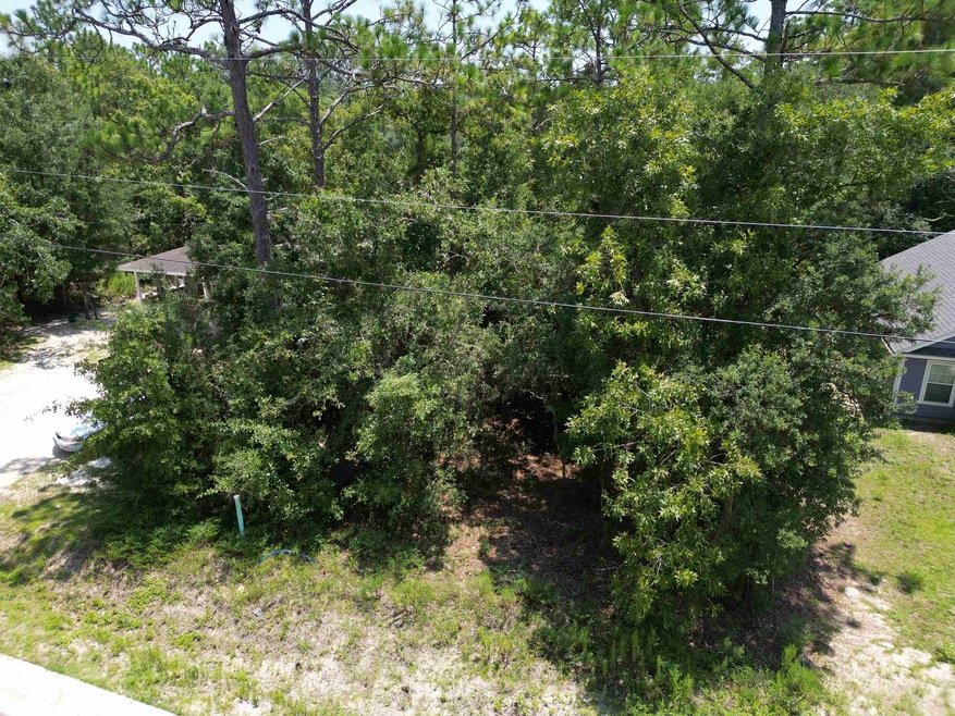 unlisted-address, Crawfordville, FL 32327 - photo 1