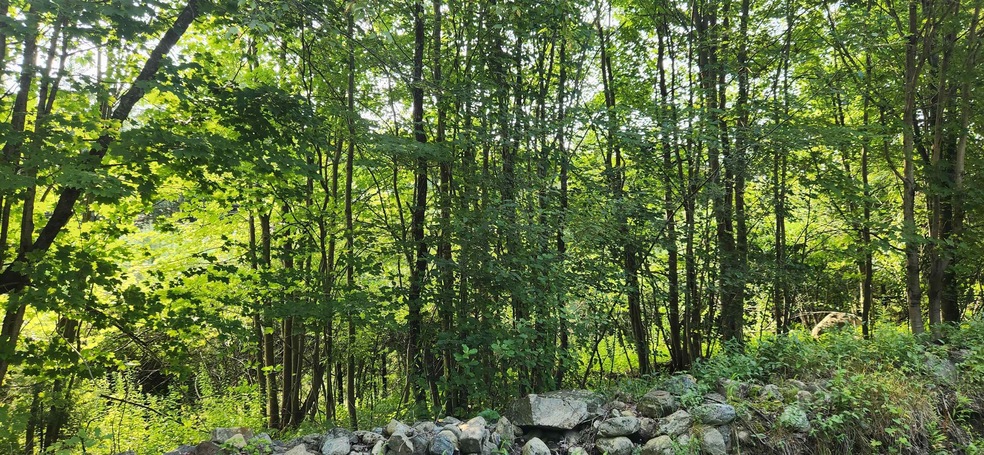 0 Oxbow Rd unit 11 4964294, Hinsdale, NH 03451 - photo 1