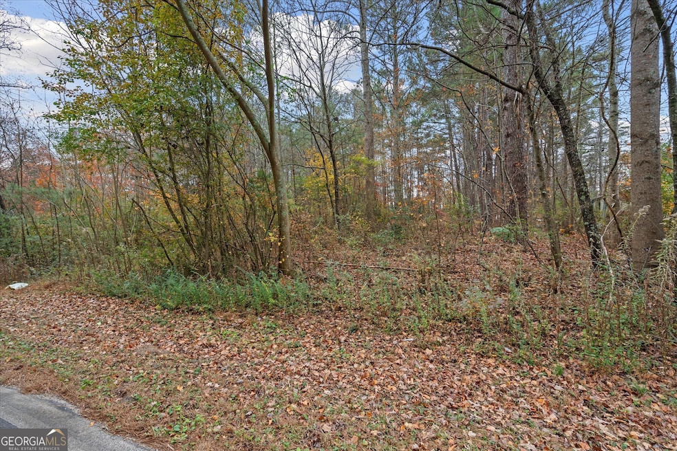 231 Buncombe-Waco Rd, Waco, GA 30182 - photo 1