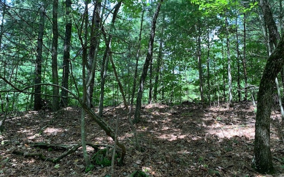 LT 10 Dover Highlands Trail, Ellijay, GA 30540 - photo 1