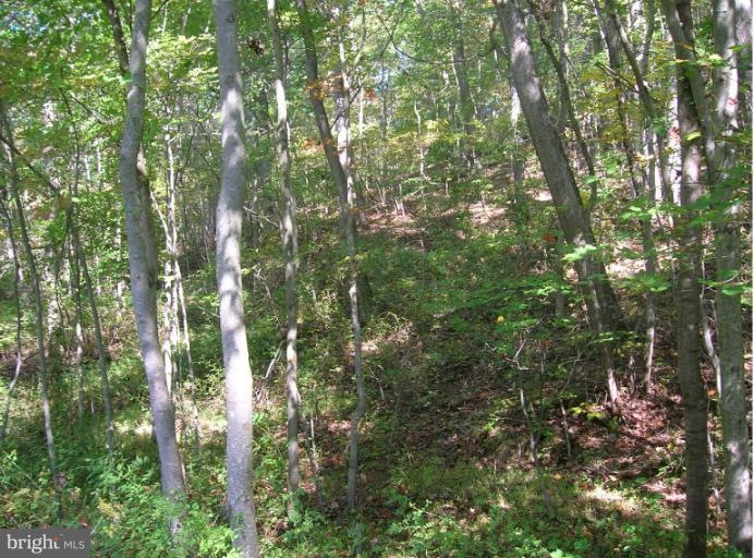 2859 Charles St, Fallston, MD 21047 - photo 1