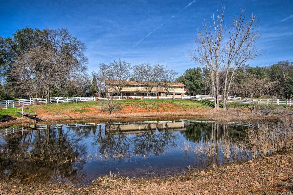 Turtle & Duck Pond