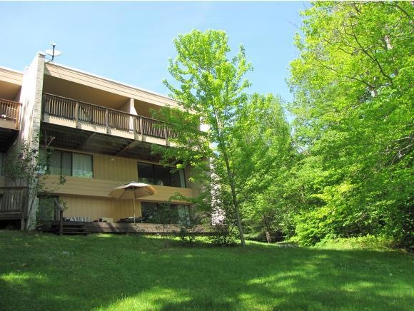 1229 Notchbrook Rd unit 20CS, Stowe, VT 05672 - photo 1