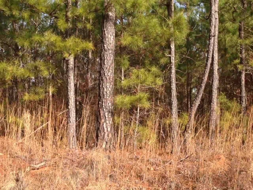 337 Gumm Cemetery Rd NE, Milledgeville, GA 31061 - photo 1