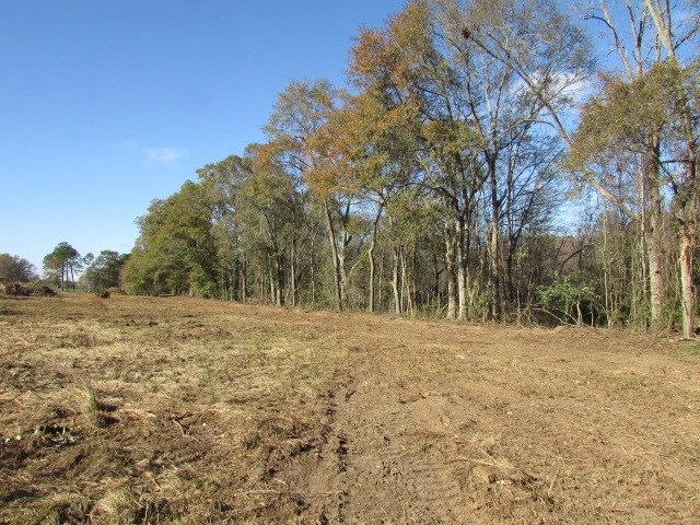 000 Ga Hwy 33n, Moultrie, GA 31768 - photo 1