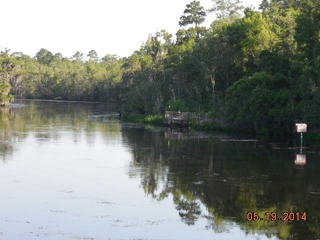 xx Manatee Ln, Crawfordville, FL 32327 - photo 1