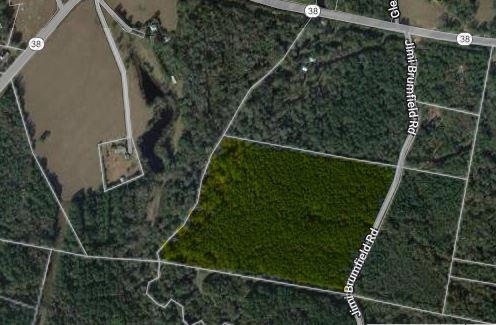 26.8 Acres Jimi Brumfield Rd, Franklinton, LA 70438 - photo 1