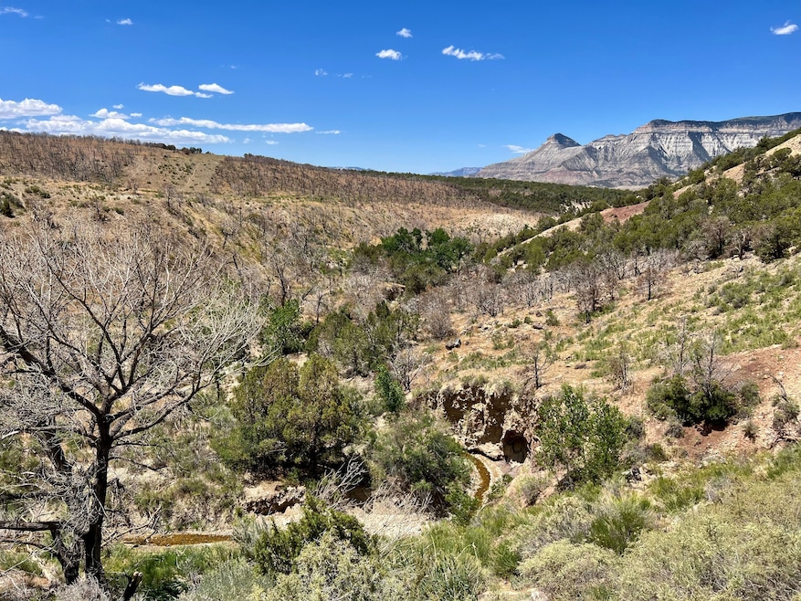 Tbd 2 County Road 300, Battlement Mesa, CO 81635 - photo 1