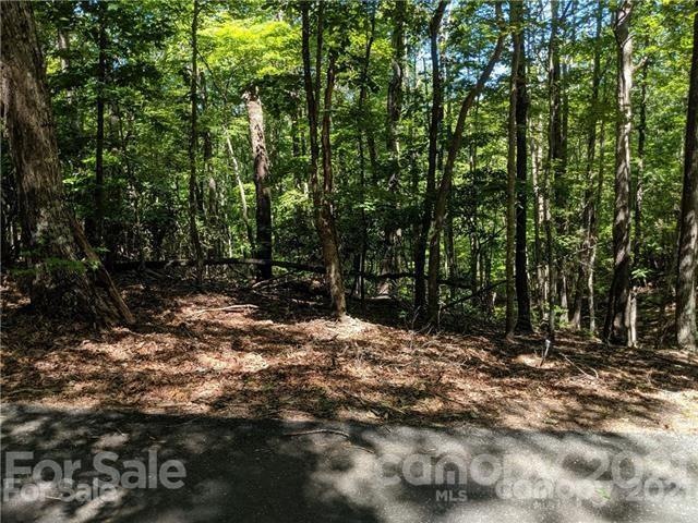 0 Whitney Blvd unit 7 3735048, Lake Lure, NC 28746 - photo 1