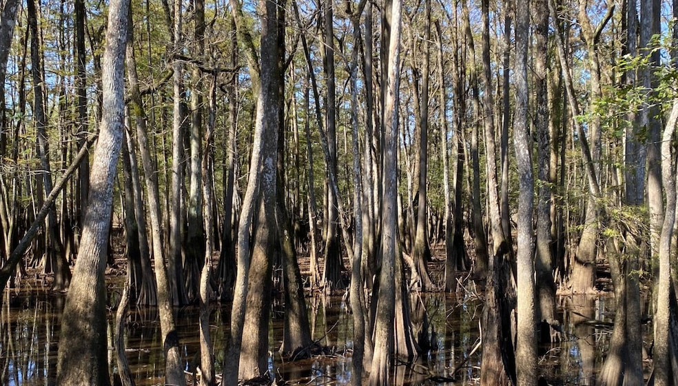 0 Reynolds Rd, Tensaw, AL 36579 - photo 1