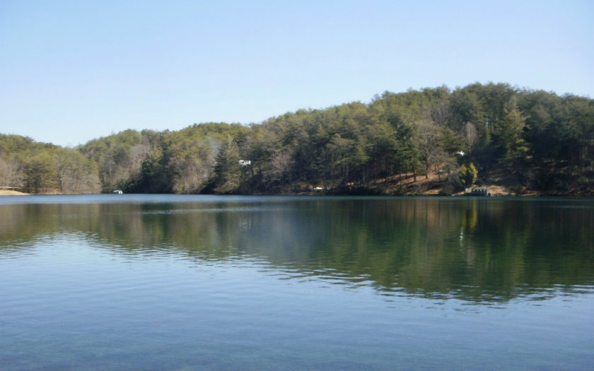 Main View