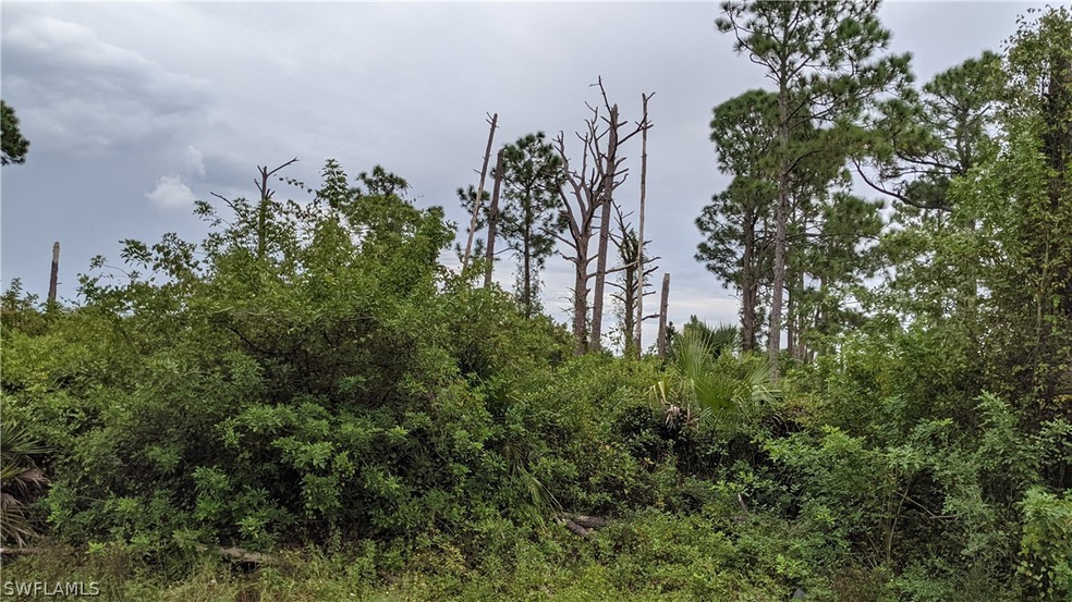 757 Oro Ave S, Lehigh Acres, FL 33974 - photo 1