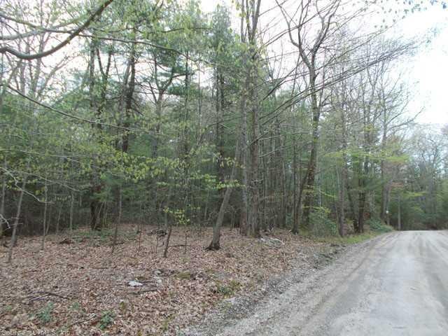 0 Pitch Rd unit L149922, Litchfield, CT 06759 - photo 1