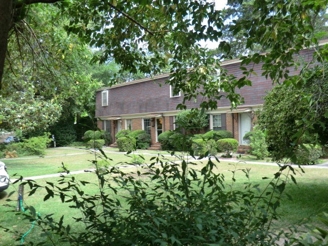 Main View