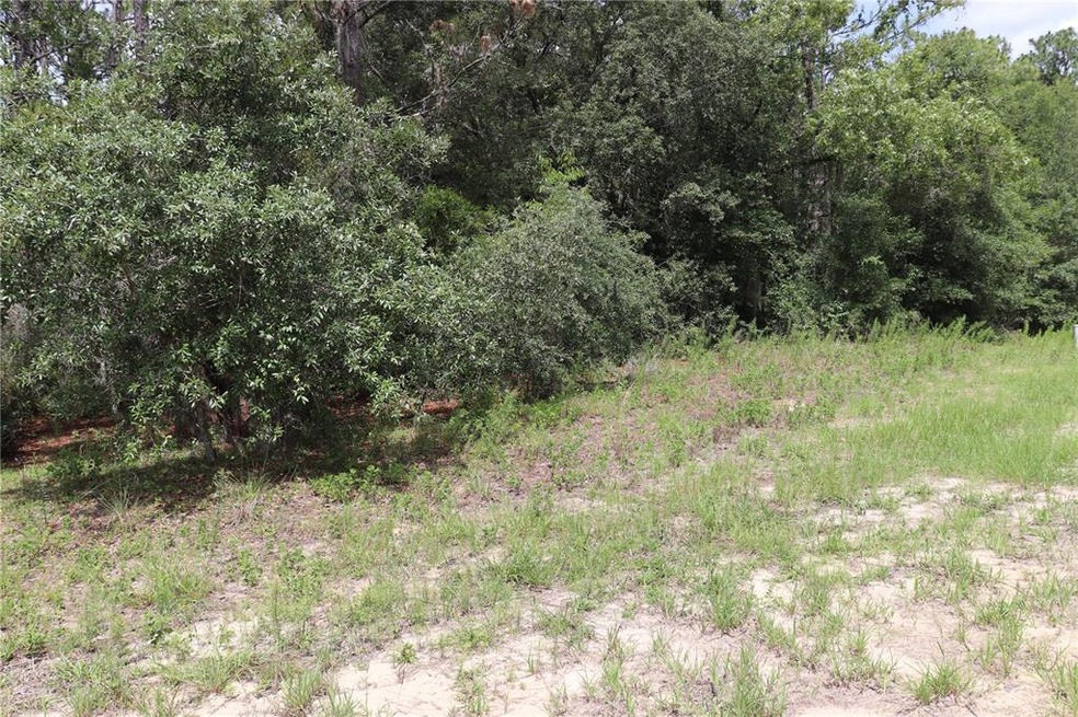Lot view