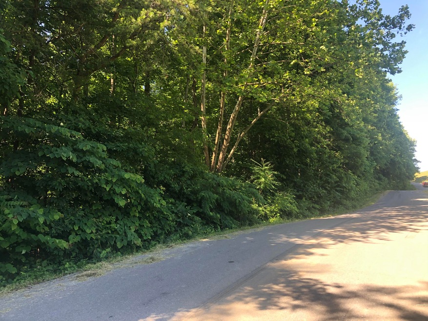 15763034-103F-4B75-95E5-8A2C5E9813AE