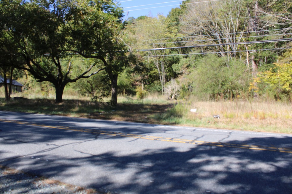 1411 Martin Luther King jr Blvd, Siler City, NC 27344 - photo 1